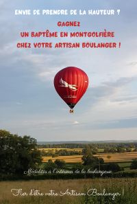 7696138422_321_affiche-montgolfiere-def.jpg